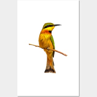 Colorful Little Bee-eater Posters and Art